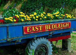 East Budleigh Decorated Cart
